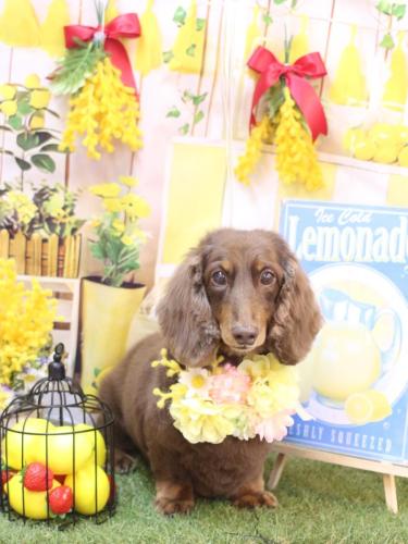 20240420ジョナくん